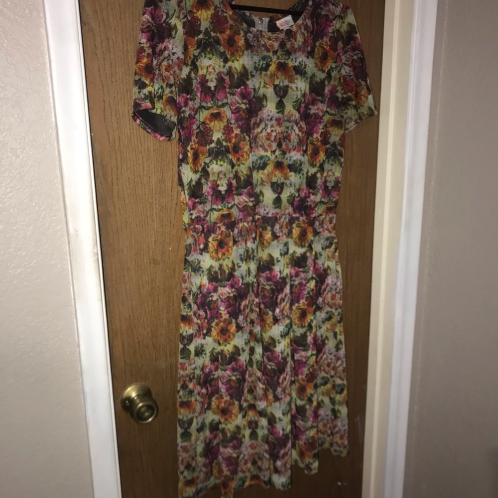 Lularoe Amelia dress. Beautiful floral print. 2xl